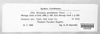 Puccinia recondita image